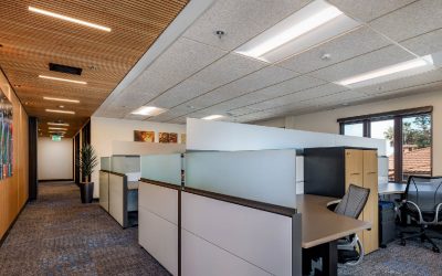 Acoustic Ceiling Solutions That Transform Workspaces: Balancing Sound & Style